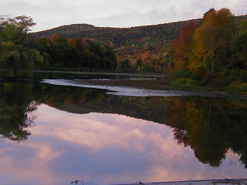 The view from our town lake in Halcottsville, NY